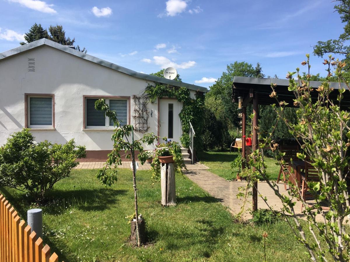 Ferienhaus An Der Selke 梅斯多夫 外观 照片